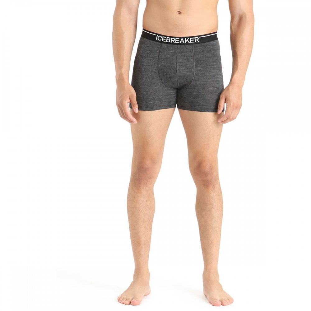 Mens Merino 150 Anatomica Boxers